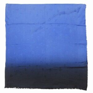 DIOR Blue Scarf